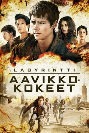 Labyrintti: Aavikkokokeet (2015)