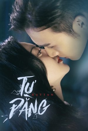 Image Tư Đằng