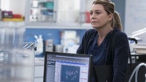 Anatomía de Grey temporada 15 capitulo  16