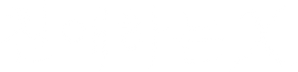 Ảnh 100