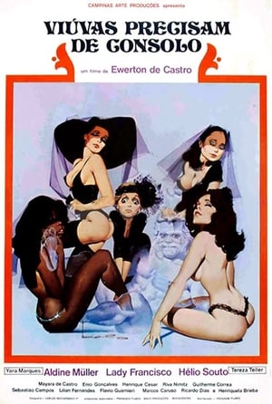 Poster Viúvas Precisam de Consolo (1979)