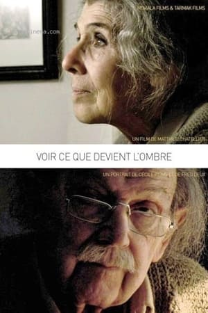 Voir ce que devient l'ombre (2011)