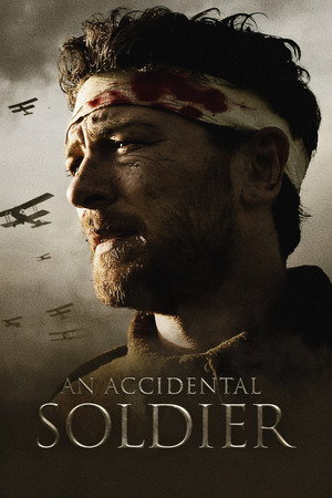 An Accidental Soldier