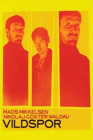 Poster Na scestí 1998