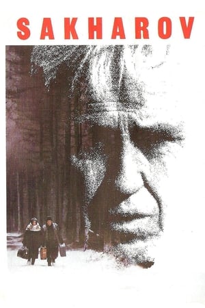 Poster 萨哈罗夫 1984