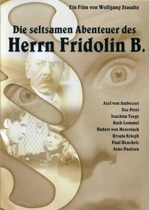 Image Die seltsamen Abenteuer des Herrn Fridolin B.