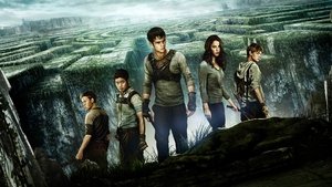 The Maze Runner