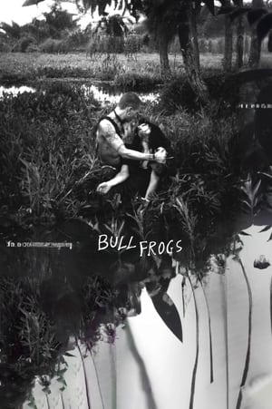 Poster Bullfrogs 2019