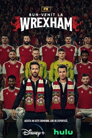 Image Bun-venit la Wrexham