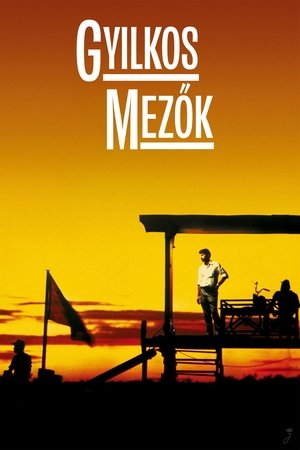 Image Gyilkos mezők