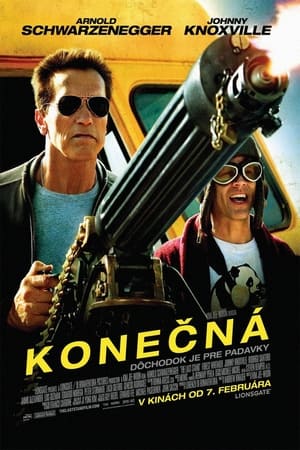 Poster Konečná 2013