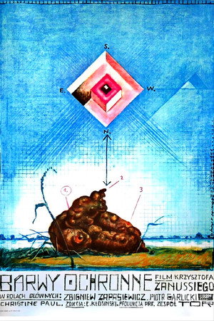 Camouflage 9
