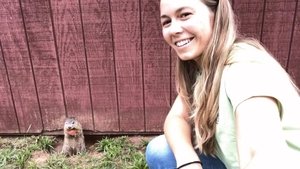 Priscilla The Baby Groundhog