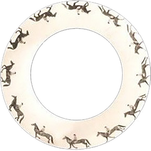 36 Caballos