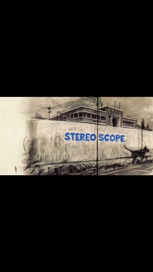 Stereoscope