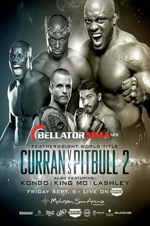 Poster Bellator 123 (2014)