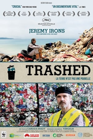 Poster Trashed 2012
