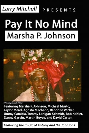 Poster Pay It No Mind: Marsha P. Johnson 2012