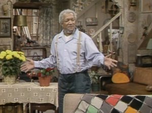 Sanford and Son Sanford and Niece