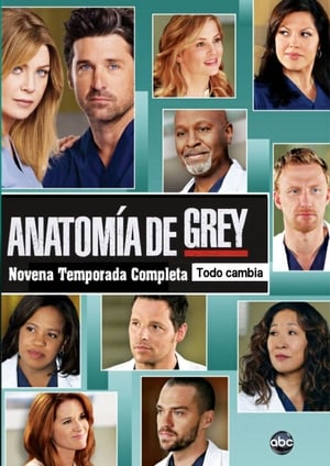 Anatomía de Grey: Temporada 9