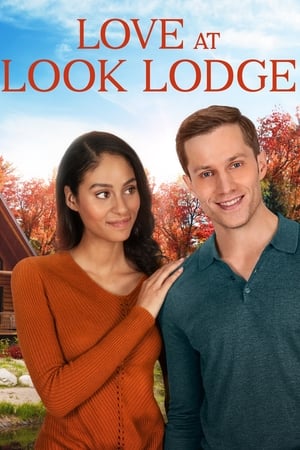 Poster Love at Look Lodge 2020
