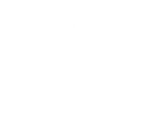 Logo The Oakland Film Company