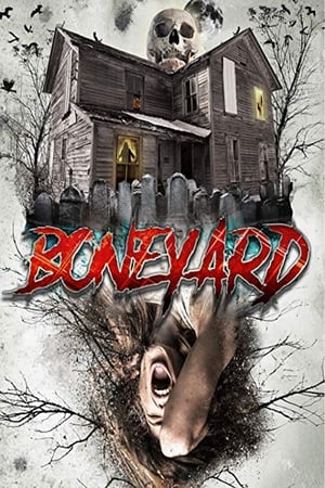 Poster Boneyard 2020