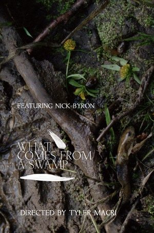 Affiche de What Comes from a Swamp