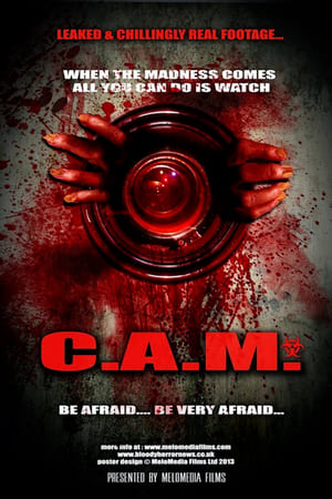 Poster C.A.M. (2021)