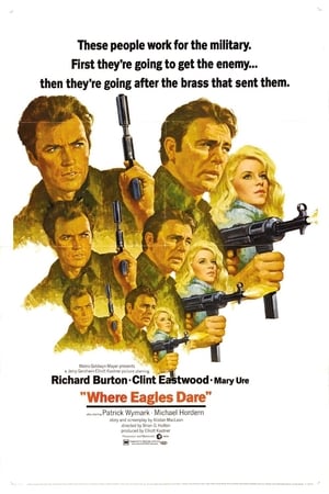 Постер фильма «Там, где гнездятся орлы (1968)» — (16 из 52)