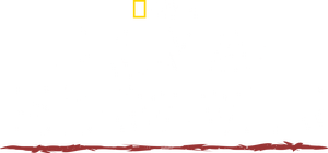 /yWgwBsHIhoTkpZzNEXcq7BI3lMw.png