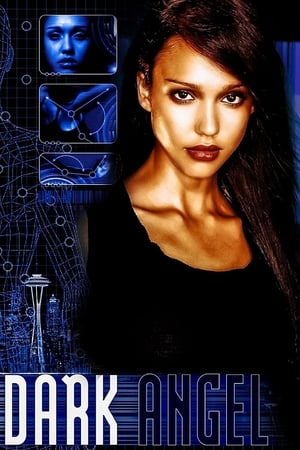 Dark Angel poster