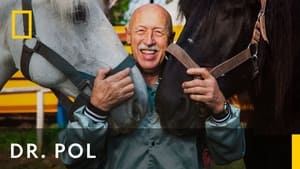 poster The Incredible Dr. Pol