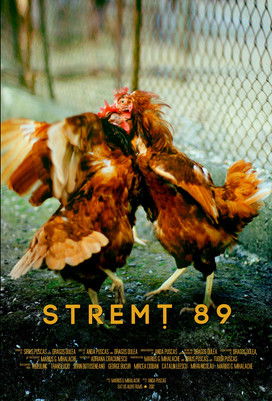 Stremt 89