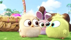 An Easter Message from the Hatchlings of the Angry Birds Movie film complet