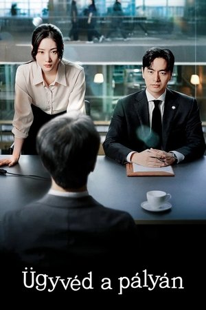 Image Ügyvéd a pályán