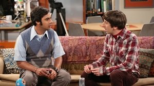 The Big Bang Theory 8 x Episodio 9