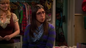 The Big Bang Theory Season 5 Episode 11