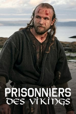 Image Prisonniers des Vikings