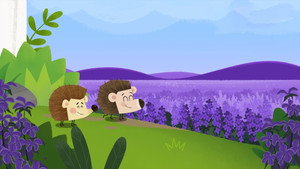 series image
