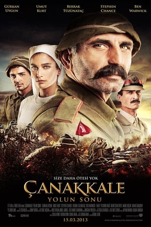 Poster Çanakkale: Yolun Sonu 2013