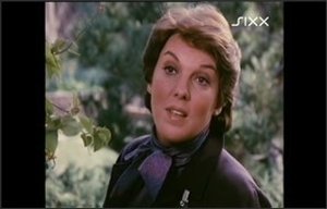 Cagney & Lacey Season 4 Episode 22