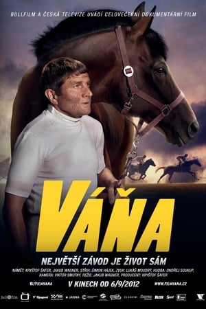 Váňa poster