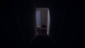 An American Murder Mystery: The Staircase I Whispered Her Name