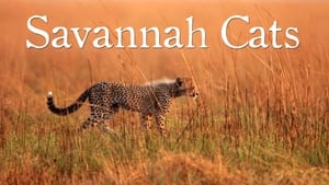 Savannah Cats film complet