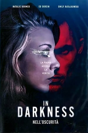 Poster In darkness - Nell'oscurità 2018