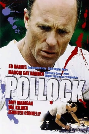 Poster Pollock 2000