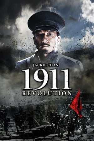 Poster 1911 Revolution 2011