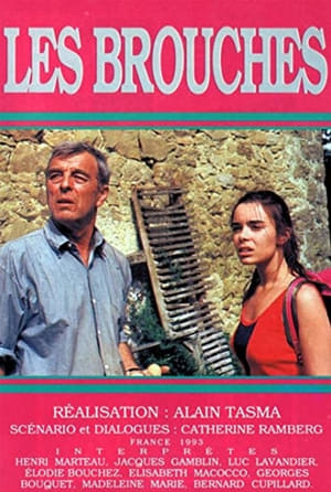 Poster Les brouches (1994)