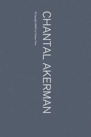 Poster Chantal Akerman (2013)